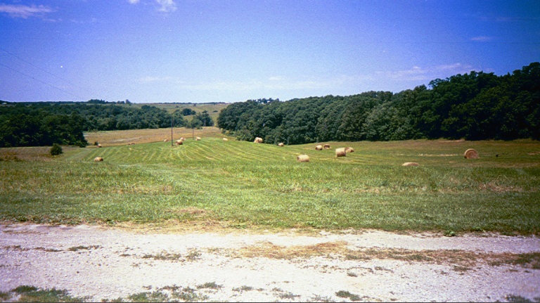 farm2.jpg